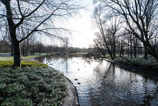 Medium property photo - Eerste van Swindenstraat 34-3, 1093 GE Amsterdam